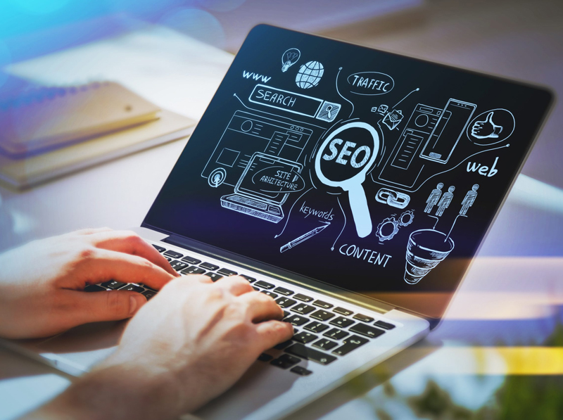 Contrary Popular For This Insurance Flexible